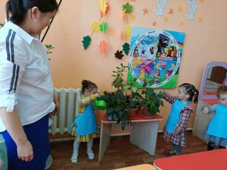 «Табиғат бұрышындағы еңбек»