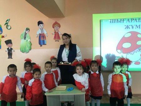 Ұйымдастырылған ашық оқу қызметі