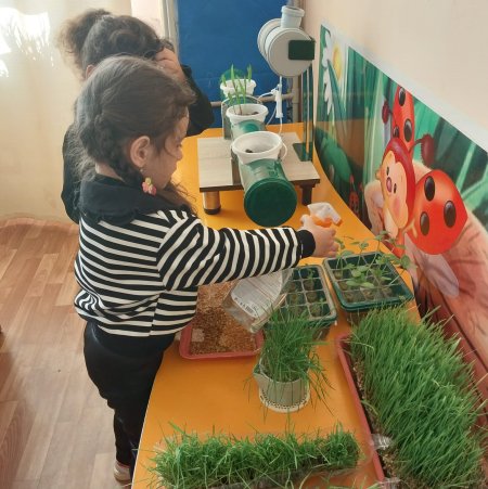 Гидропоникалық әдіспен өсірілген өсімдіктерге бақылау жасау
