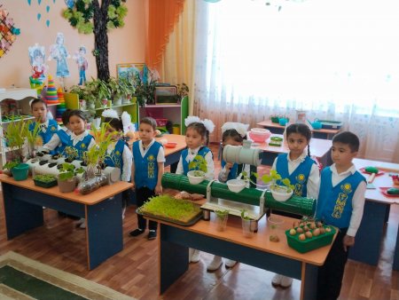 Ашық ұйымдастырылған іс - әрекет: