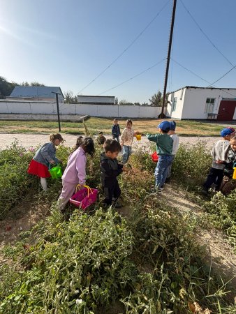 Еңбек күні:   "Күзгі еңбек"