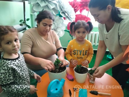 "Жапырақ тамырдан нәр алады"