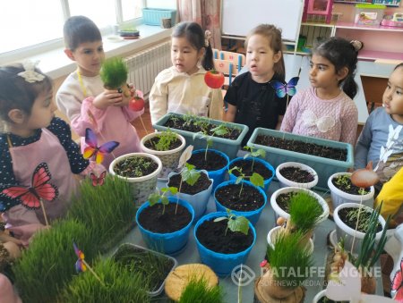 "Терезе алдындағы бау- бақша"