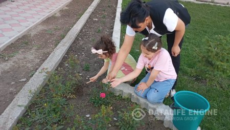 "Көгалдандыру" күні
