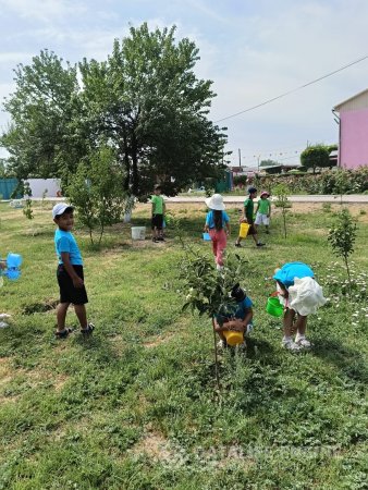 "Жемістер мен көкөністер"